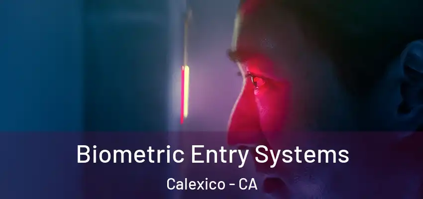  Biometric Entry Systems Calexico - CA