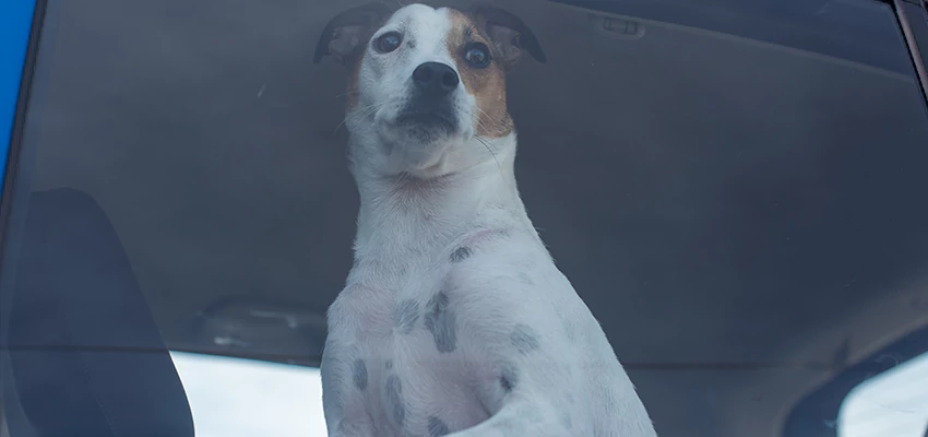 Car Lockout Solutions in Calexico, California